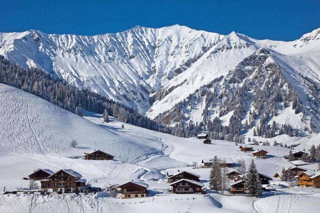 Hotel Des Alpes 아델보덴 외부 사진