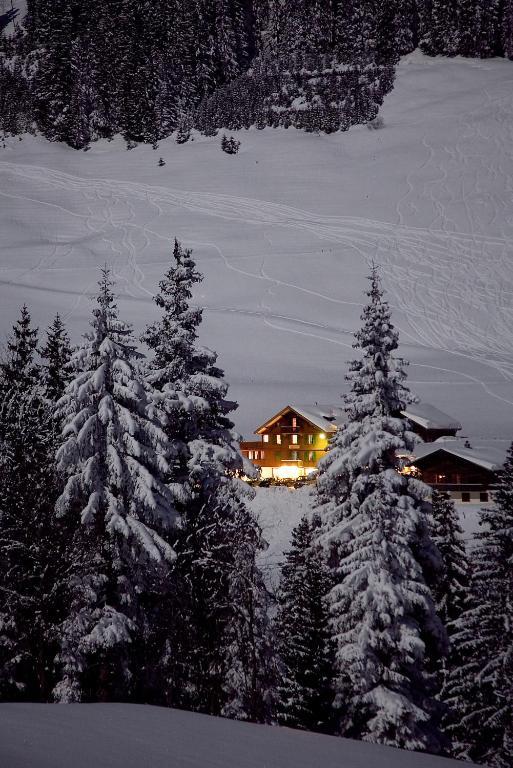 Hotel Des Alpes 아델보덴 외부 사진