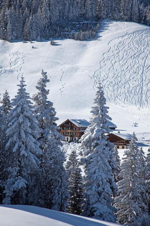 Hotel Des Alpes 아델보덴 외부 사진